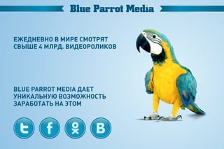 Blue parrot media presentation