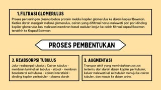 PPT BIOLOGI GINJAL | PDF