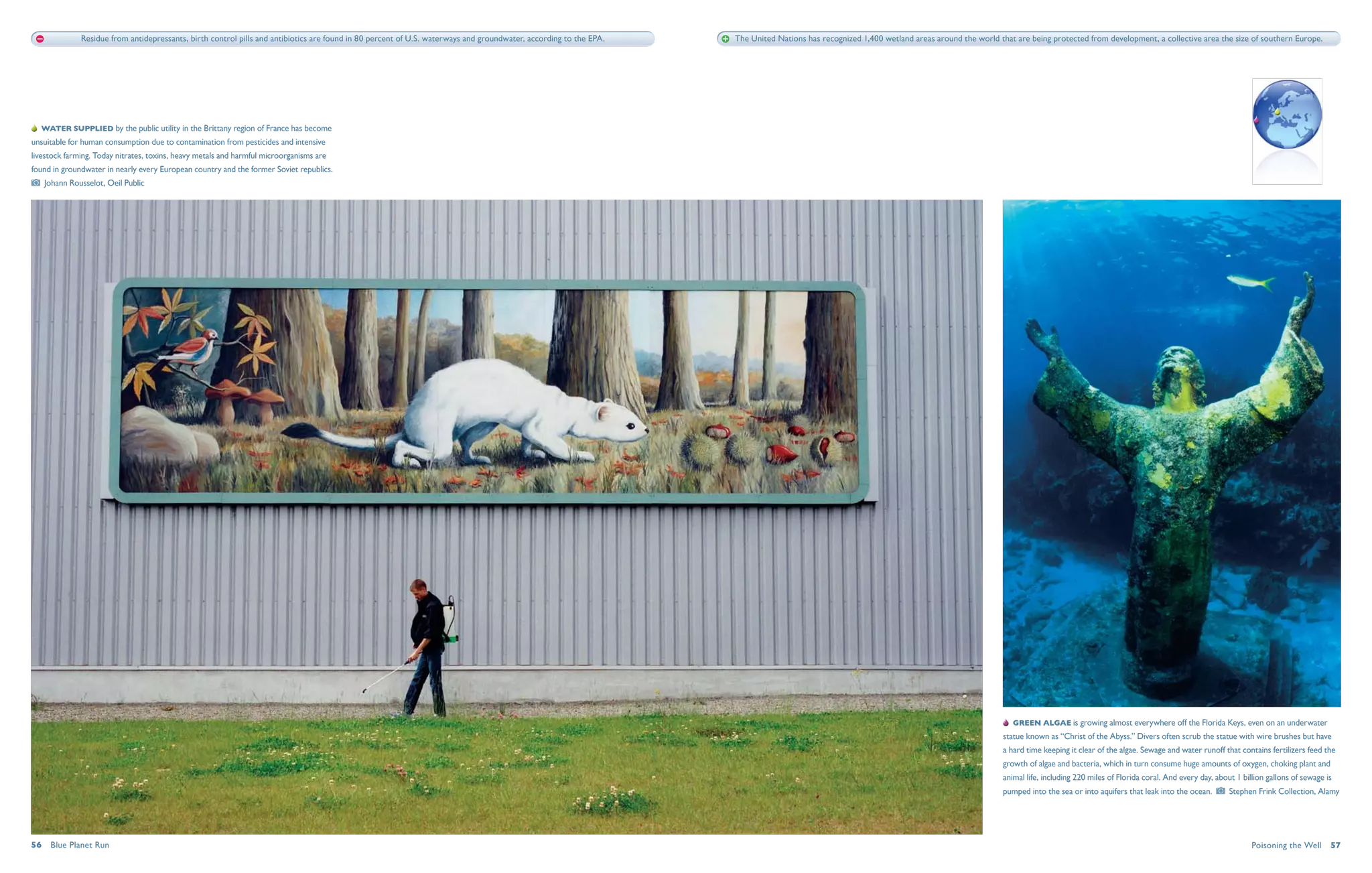 Residue from antidepressants, birth control pills and antibiotics are found in 80 percent of U.S. waterways and groundwater, according to the EPA.   The United Nations has recognized 1,400 wetland areas around the world that are being protected from development, a collective area the size of southern Europe.




   Water supplied by the public utility in the Brittany region of France has become
unsuitable for human consumption due to contamination from pesticides and intensive
livestock farming. Today nitrates, toxins, heavy metals and harmful microorganisms are
found in groundwater in nearly every European country and the former Soviet republics. 
   Johann Rousselot, Oeil Public




                                                                                                                                                                                                                                               Green algae is growing almost everywhere off the Florida Keys, even on an underwater
                                                                                                                                                                                                                                           statue known as “Christ of the Abyss.” Divers often scrub the statue with wire brushes but have
                                                                                                                                                                                                                                           a hard time keeping it clear of the algae. Sewage and water runoff that contains fertilizers feed the
                                                                                                                                                                                                                                           growth of algae and bacteria, which in turn consume huge amounts of oxygen, choking plant and
                                                                                                                                                                                                                                           animal life, including 220 miles of Florida coral. And every day, about 1 billion gallons of sewage is
                                                                                                                                                                                                                                           pumped into the sea or into aquifers that leak into the ocean.        Stephen Frink Collection, Alamy




56  Blue Planet Run                                                                                                                                                                                                                                                                                                     Poisoning the Well  57
 