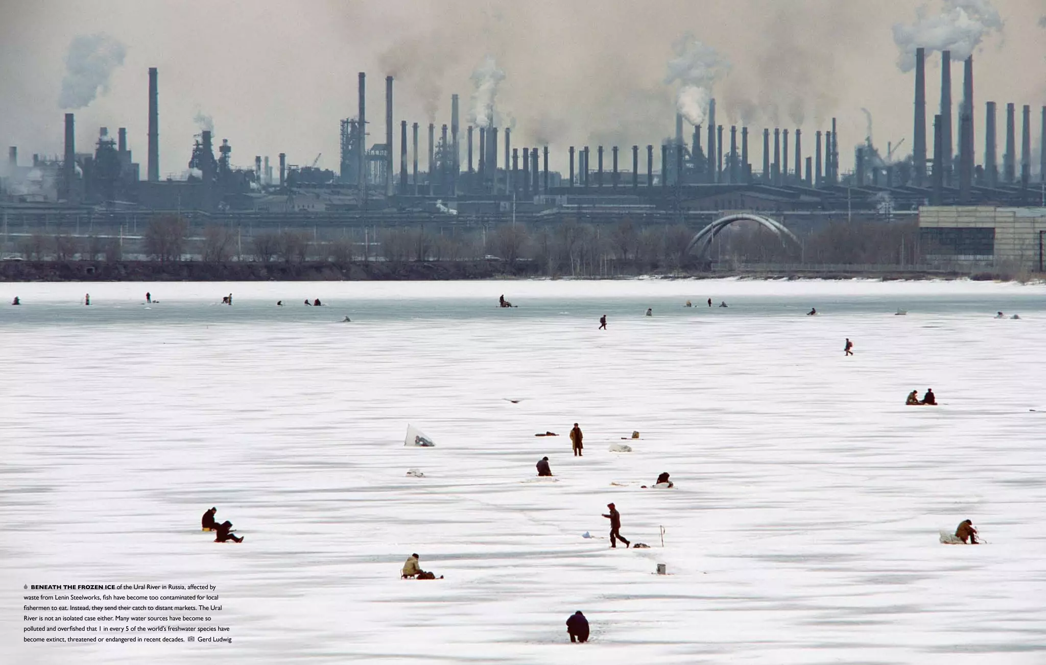   Beneath the frozen ice of the Ural River in Russia, affected by
waste from Lenin Steelworks, fish have become too contaminated for local
fishermen to eat. Instead, they send their catch to distant markets. The Ural
River is not an isolated case either. Many water sources have become so
polluted and overfished that 1 in every 5 of the world’s freshwater species have
become extinct, threatened or endangered in recent decades.        Gerd Ludwig
 