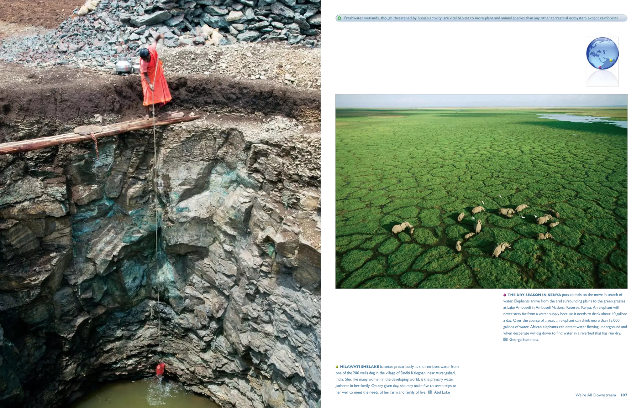 Freshwater wetlands, though threatened by human activity, are vital habitat to more plant and animal species than any other terrestrial ecosystem except rainforests.




                                                                                                        The dry season in Kenya puts animals on the move in search of
                                                                                                    water. Elephants arrive from the arid surrounding plains to the green grasses
                                                                                                    at Lake Amboseli in Amboseli National Reserve, Kenya. An elephant will
                                                                                                    never stray far from a water supply because it needs to drink about 40 gallons
                                                                                                    a day. Over the course of a year, an elephant can drink more than 15,000
                                                                                                    gallons of water. African elephants can detect water flowing underground and
                                                                                                    when desperate will dig down to find water in a riverbed that has run dry. 
                                                                                                        George Steinmetz




   Nilawati Shelake balances precariously as she retrieves water from
one of the 200 wells dug in the village of Sindhi Kalegoan, near Aurangabad,
India. She, like many women in the developing world, is the primary water
gatherer in her family. On any given day, she may make five to seven trips to
her well to meet the needs of her farm and family of five.    Atul Loke
                                                                                                                                                 We're All Downstream  107
 