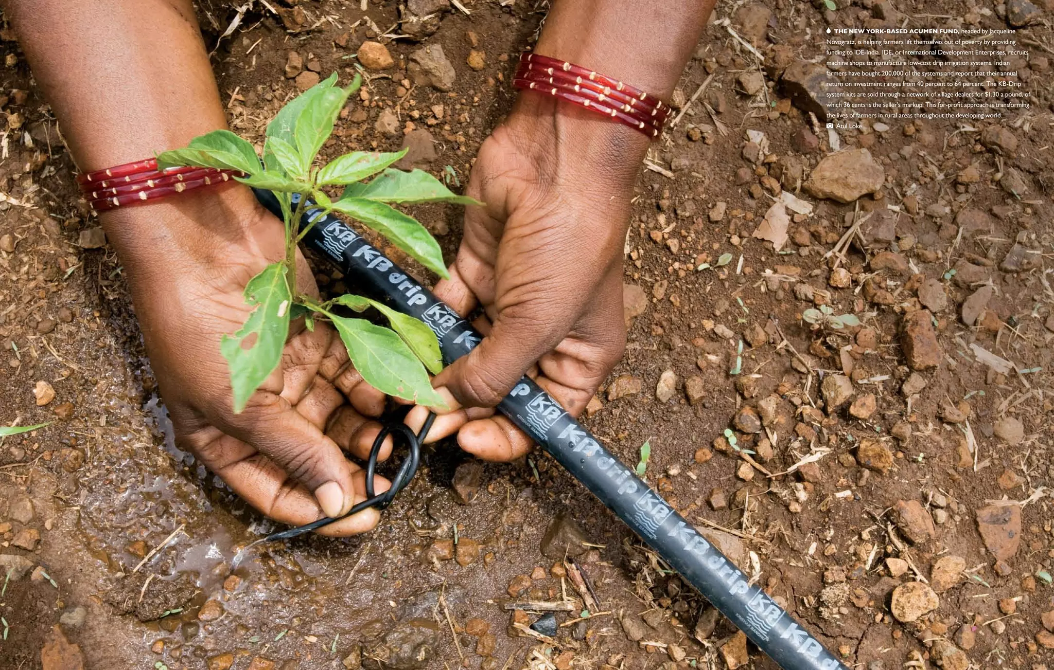   The New York-based Acumen Fund, headed by Jacqueline
Novogratz, is helping farmers lift themselves out of poverty by providing
funding to IDE-India. IDE, or International Development Enterprises, recruits
machine shops to manufacture low-cost drip irrigation systems. Indian
farmers have bought 200,000 of the systems and report that their annual
return on investment ranges from 40 percent to 64 percent. The KB-Drip
system kits are sold through a network of village dealers for $1.30 a pound, of
which 36 cents is the seller’s markup. This for-profit approach is transforming
the lives of farmers in rural areas throughout the developing world. 
   Atul Loke
 