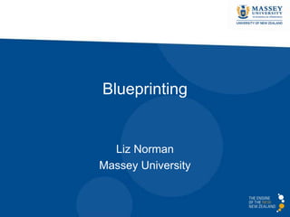 Blueprinting
Liz Norman
Massey University
 