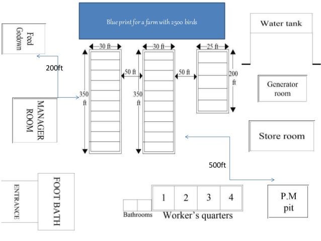 blue print and specifications for a broiler poultry shed