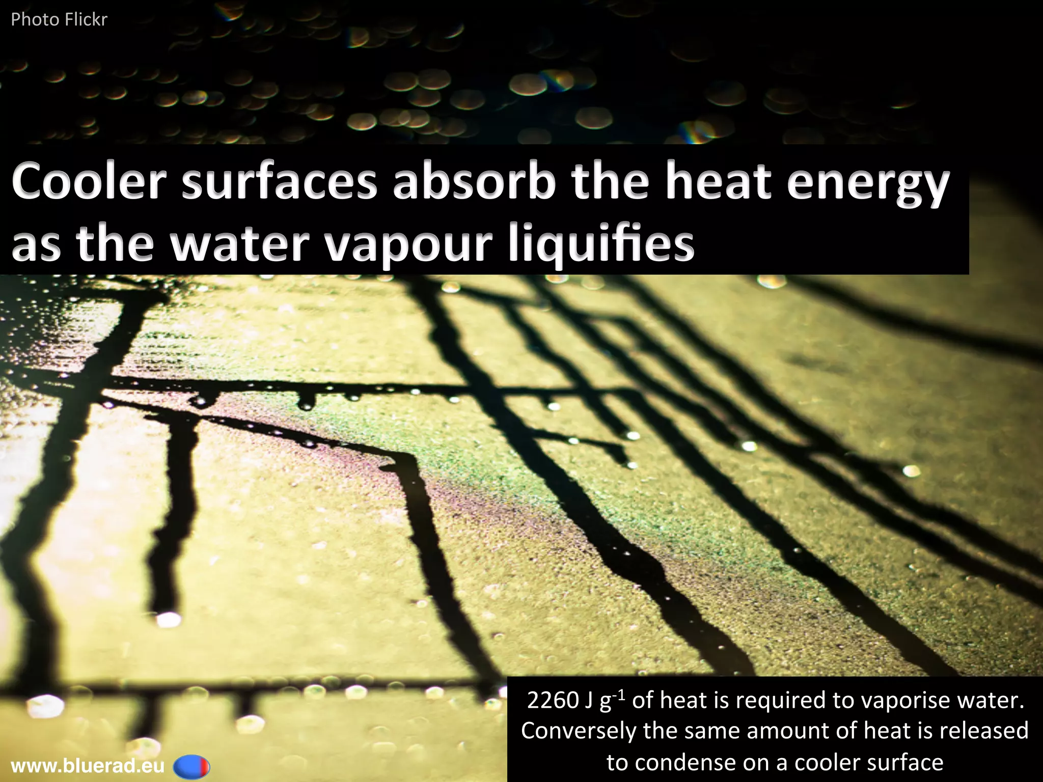 Cooler	surfaces	absorb	the	heat	energy	
as	the	water	vapour	liquiﬁes		
Photo	Flickr	
www.bluerad.eu
	
2260	J	g-1	of	heat	is	required	to	vaporise	water.	
Conversely	the	same	amount	of	heat	is	released	
to	condense	on	a	cooler	surface	
 