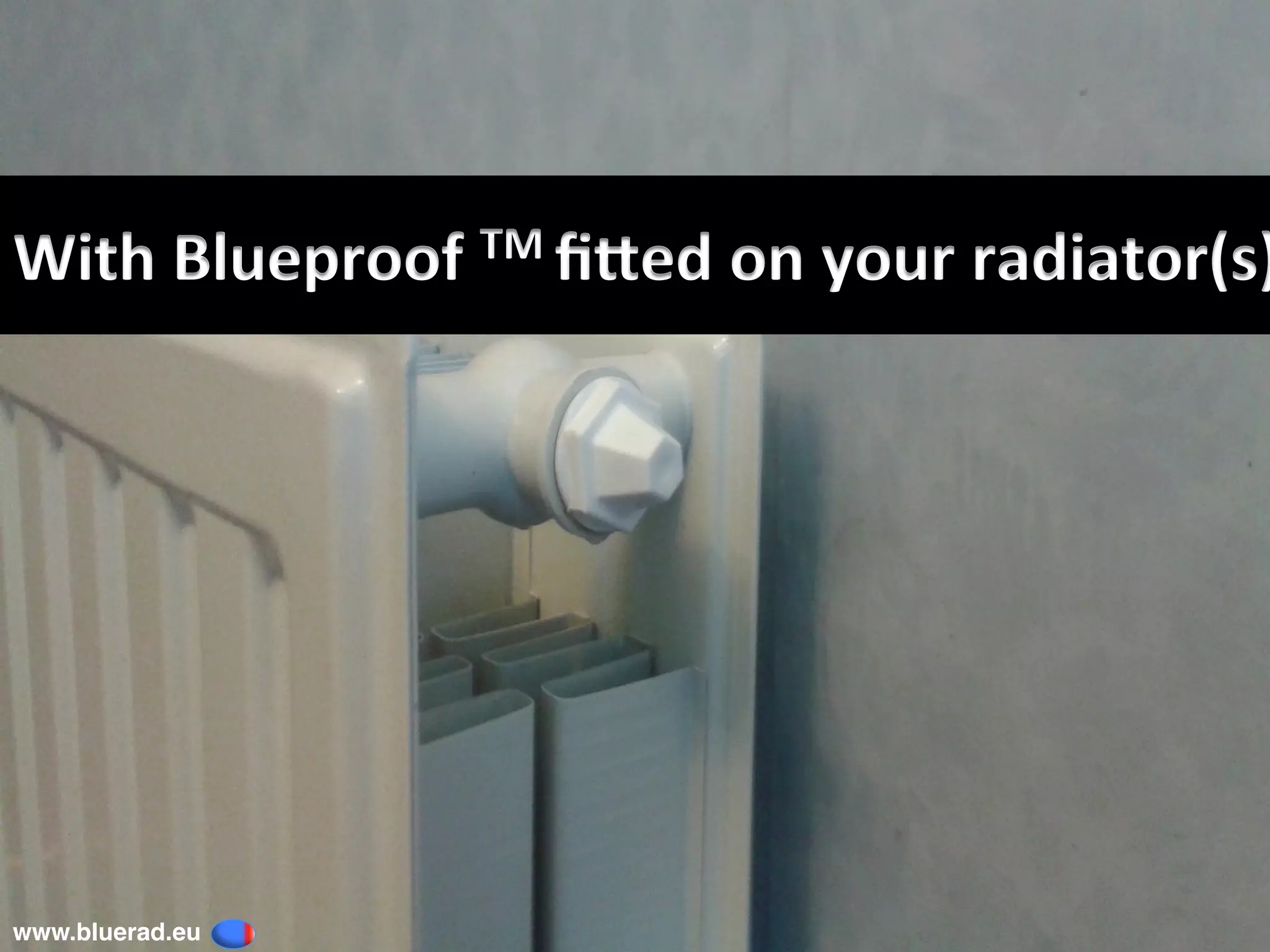 With	Blueproof	TM	ﬁGed	on	your	radiator(s)
www.bluerad.eu
	
 
