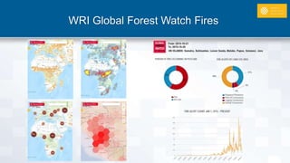 WRI Global Forest Watch Fires
 
