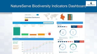 NatureServe Biodiversity Indicators Dashboard
 