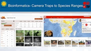 Bioinformatics- Camera Traps to Species Ranges
 