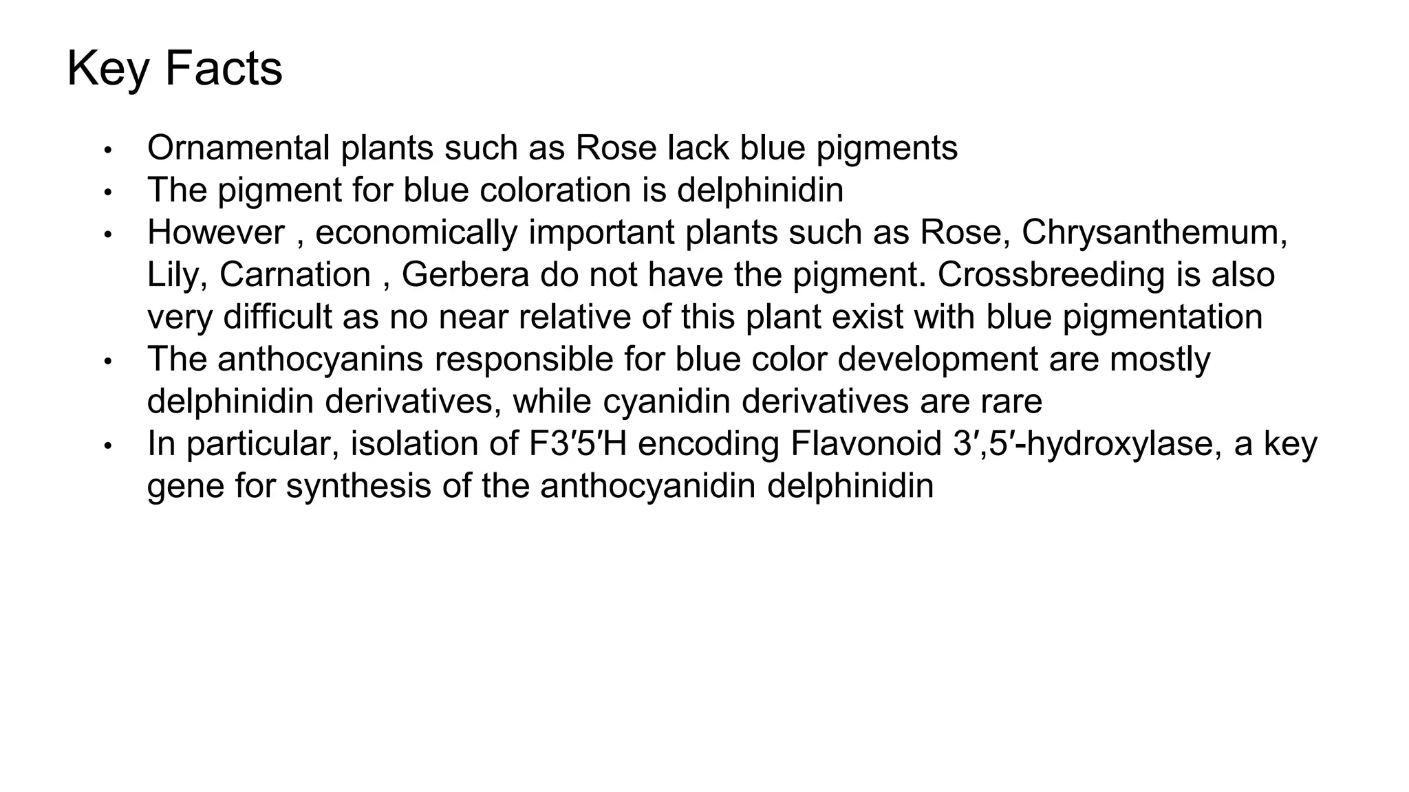 Blue Rose.pptx