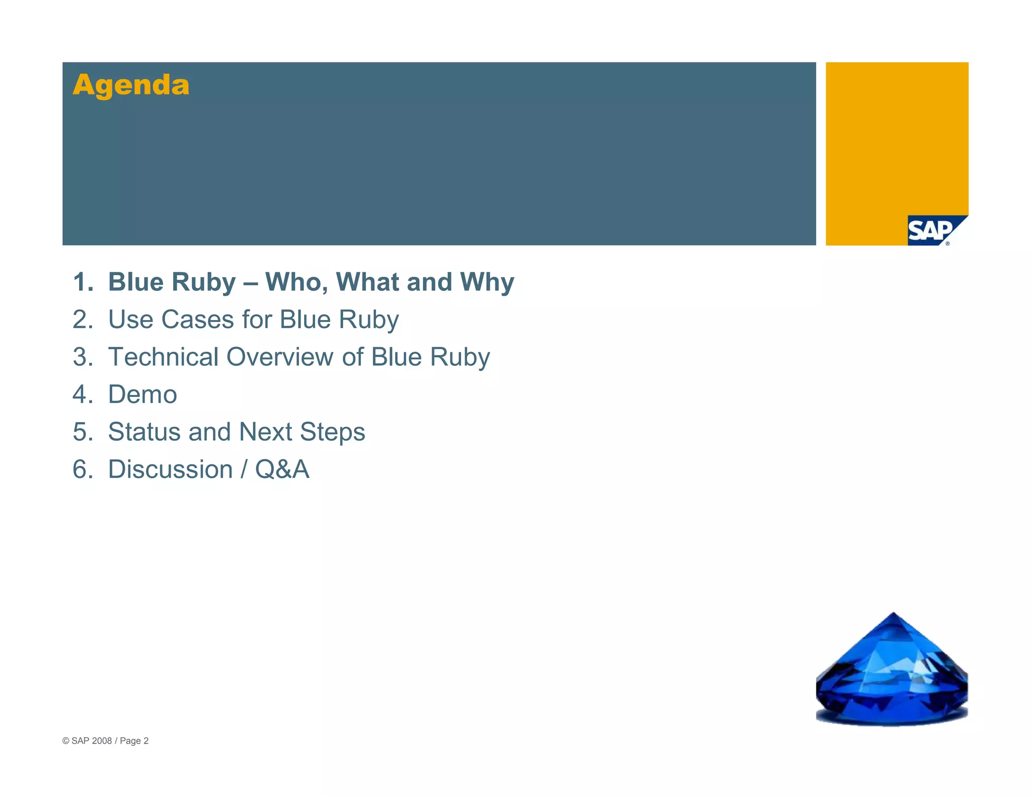 Blue Ruby SDN Webinar