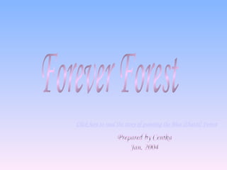 Forever Forest Prepared by Cenika Jan. 2004 Click here to read the story of painting the Blue [ Shanti ] Forest 