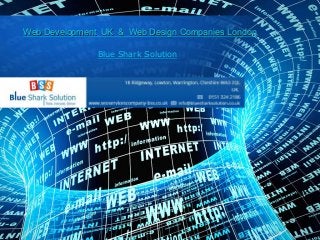 Web Development UK & Web Design Companies London

               Blue Shark Solution
 
