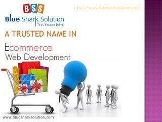 A TRUSTED NAME IN
http://www.bluesharksolution.com
 