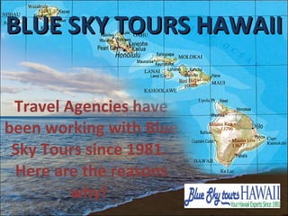 Travel Agencies have been working with Blue Sky Tours since 1981.  Here are the reasons why!   BLUE SKY TOURS HAWAII 
