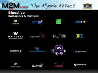 Blueslice Customers & Partners 