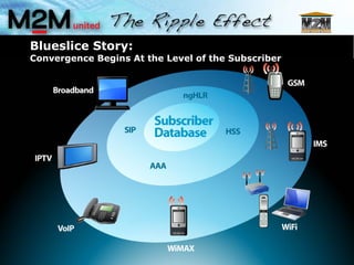 Blueslice Story: Convergence Begins At the Level of the Subscriber 