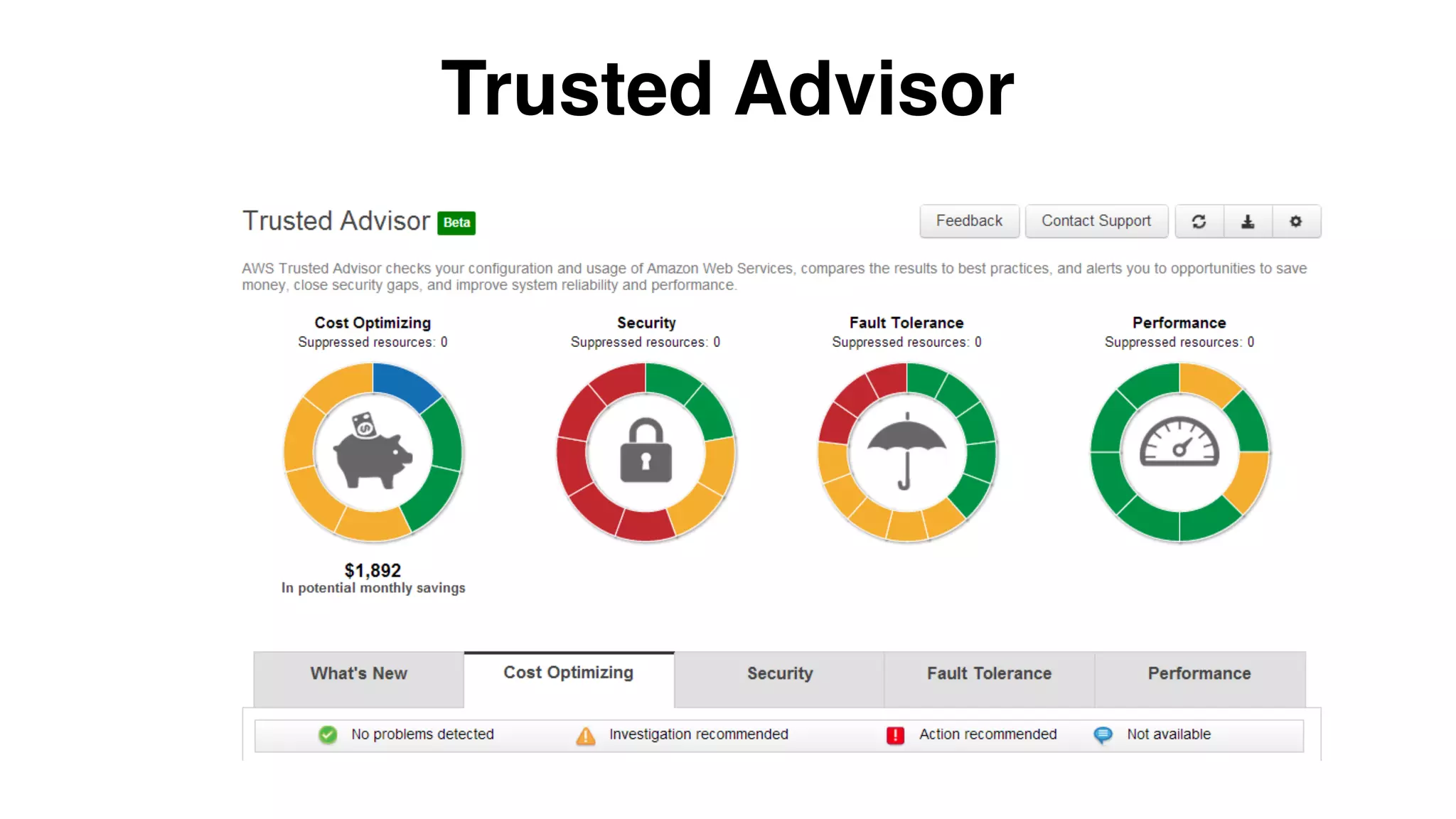 Trusted Advisor
 