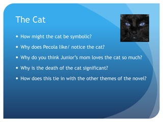 The Cat
 How might the cat be symbolic?
 Why does Pecola like/ notice the cat?
 Why do you think Junior’s mom loves the cat so much?
 Why is the death of the cat significant?
 How does this tie in with the other themes of the novel?
 