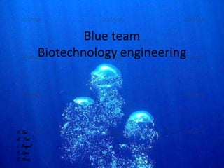 Blue team
            Biotechnology engineering




E. Tec
A . Poot
L. Rangel
Y. López
E. Pérez
 