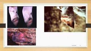 24-09-2020ABHIJITH SP CVAS POOKODE 10
 