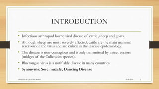 INTRODUCTION
• Infectious arthropod borne viral disease of cattle ,sheep and goats.
• Although sheep are most severely affected, cattle are the main mammal
reservoir of the virus and are critical in the disease epidemiology.
• The disease is non-contagious and is only transmitted by insect vectors
(midges of the Culicoides species).
• Bluetongue virus is a notifiable disease in many countries.
• Synonyms: Sore muzzle, Dancing Disease
24-09-2020ABHIJITH SP CVAS POOKODE 2
 
