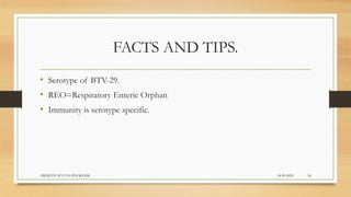 FACTS AND TIPS.
• Serotype of BTV-29.
• REO=Respiratory Enteric Orphan
• Immunity is serotype specific.
24-09-2020ABHIJITH SP CVAS POOKODE 24
 