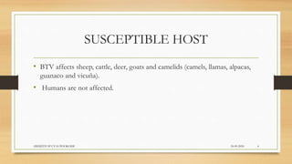 SUSCEPTIBLE HOST
• BTV affects sheep, cattle, deer, goats and camelids (camels, llamas, alpacas,
guanaco and vicuña).
• Humans are not affected.
24-09-2020ABHIJITH SP CVAS POOKODE 4
 