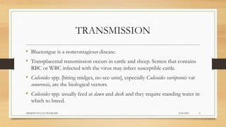TRANSMISSION
• Bluetongue is a noncontagious disease.
• Transplacental transmission occurs in cattle and sheep. Semen that contains
RBC or WBC infected with the virus may infect susceptible cattle.
• Culicoides spp. [biting midges, no-see-ums], especially Culicoides variipennis var
sonorensis, are the biological vectors.
• Culicoides spp. usually feed at dawn and dusk and they require standing water in
which to breed.
24-09-2020ABHIJITH SP CVAS POOKODE 5
 