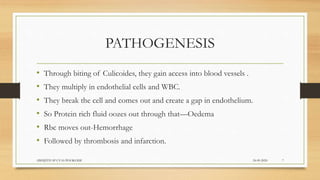 PATHOGENESIS
• Through biting of Culicoides, they gain access into blood vessels .
• They multiply in endothelial cells and WBC.
• They break the cell and comes out and create a gap in endothelium.
• So Protein rich fluid oozes out through that—Oedema
• Rbc moves out-Hemorrhage
• Followed by thrombosis and infarction.
24-09-2020ABHIJITH SP CVAS POOKODE 7
 