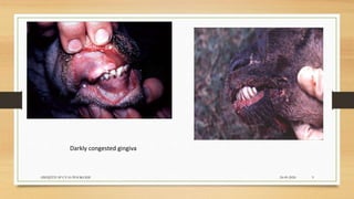 24-09-2020ABHIJITH SP CVAS POOKODE 9
Darkly congested gingiva
 