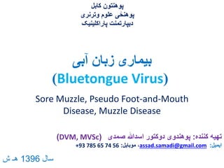 ‫آبی‬ ‫زبان‬ ‫بیماری‬
(Bluetongue Virus)
‫کننده‬ ‫تهیه‬:‫صمدی‬ ‫اسدهللا‬ ‫دوکتور‬ ‫پوهندوی‬(DVM, MVSc)
‫ایمیل‬:assad.samadi@gmail.com‫موبایل‬ ،:+93 785 65 74 56
‫کابل‬ ‫پوهنتون‬
‫وترنری‬ ‫علوم‬ ‫ی‬ً‫پوهنح‬
‫پاراکلینیک‬ ‫دیپارتمنت‬
Sore Muzzle, Pseudo Foot-and-Mouth
Disease, Muzzle Disease
‫سال‬1396‫ش‬ ‫هـ‬
 