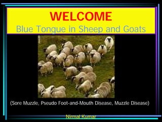 WELCOME
  Blue Tongue in Sheep and Goats




(Sore Muzzle, Pseudo Foot-and-Mouth Disease, Muzzle Disease)

                        Nirmal Kumar
 