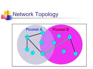 Network Topology
 