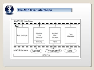 The AMP layer interfacing 