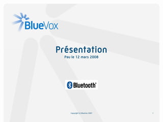 Présentation
  Pau le 12 mars 2008




     Copyright (c) BlueVox 2007   1