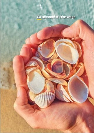 Gli speciali di Bluewago
 