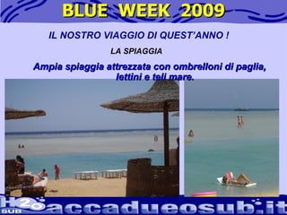 BLUE  WEEK  2009 Ampia spiaggia attrezzata con ombrelloni di paglia, lettini e teli mare. IL NOSTRO VIAGGIO DI QUEST’ANNO ! LA SPIAGGIA 