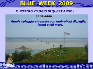 BLUE  WEEK  2009 Ampia spiaggia attrezzata con ombrelloni di paglia, lettini e teli mare. IL NOSTRO VIAGGIO DI QUEST’ANNO ! LA SPIAGGIA 