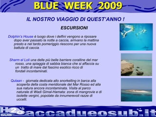 BLUE  WEEK  2009 Qulaan -  giornata dedicata allo snorkelling in barca alla scoperta della costa meridionale del Mar Rosso ed alla sua natura ancora incontaminata. Visita al parco naturale di Wadi Gimal-Hamata: zona di mangrovie e di isolette vergini, popolate da innumerevoli razze di uccelli.  IL NOSTRO VIAGGIO DI QUEST’ANNO ! ESCURSIONI Sharm el Loli  una delle più belle barriere coralline del mar rosso, una spiaggia di sabbia bianca che si affaccia su un  tratto di mare dal fascino esotico ricco di fondali incontaminati. Dolphin’s House   è luogo dove i delfini vengono a riposare dopo aver passato la notte a caccia, arrivano la mattina presto e nel tardo pomeriggio riescono per una nuova battuta di caccia .   