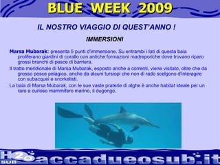BLUE  WEEK  2009 Marsa Mubarak :  presenta 5 punti d'immersione. Su entrambi i lati di questa baia proliferano giardini di corallo con antiche formazioni madreporiche dove trovano riparo grossi branchi di pesce di barriera.  Il tratto meridionale di Marsa Mubarak, esposto anche a correnti, viene visitato, oltre che da grosso pesce pelagico, anche da alcuni tursiopi che non di rado scelgono d'interagire con subacquei e snorkelisti.  La baia di Marsa Mubarak, con le sue vaste praterie di alghe è anche habitat ideale per un raro e curioso mammifero marino, il dugongo.  IL NOSTRO VIAGGIO DI QUEST’ANNO ! IMMERSIONI 