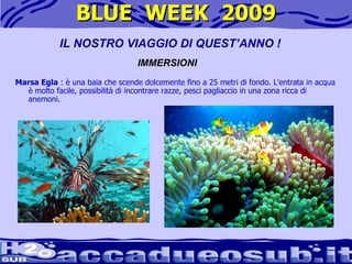 BLUE  WEEK  2009 Marsa Egla  : è una baia che scende dolcemente fino a 25 metri di fondo. L'entrata in acqua è molto facile, possibilità di incontrare razze, pesci pagliaccio in una zona ricca di anemoni.  IL NOSTRO VIAGGIO DI QUEST’ANNO ! IMMERSIONI 