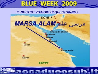 BLUE  WEEK  2009 IL NOSTRO VIAGGIO DI QUEST’ANNO ! DOVE  ? MARSA ALAM  مرسى علم   