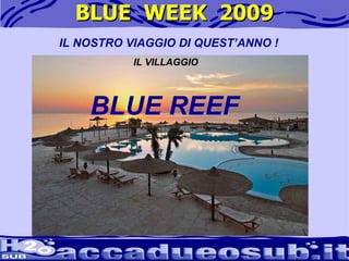 BLUE  WEEK  2009 BLUE REEF IL NOSTRO VIAGGIO DI QUEST’ANNO ! IL VILLAGGIO 