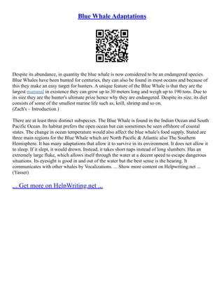 Blue Whale Adaptations | PDF
