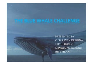 THE BLUE WHALE CHALLENGE
PRESENTED BY
C. SARAVAN KRISHNA
2017H1460285P
M.Pharm, Pharmaceutics
BITS PILANI
1
 