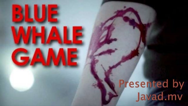 blue whale game 1