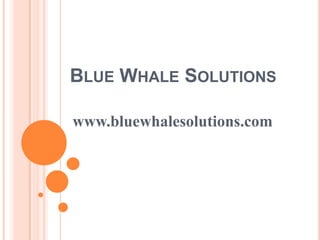 BLUE WHALE SOLUTIONS
www.bluewhalesolutions.com

 