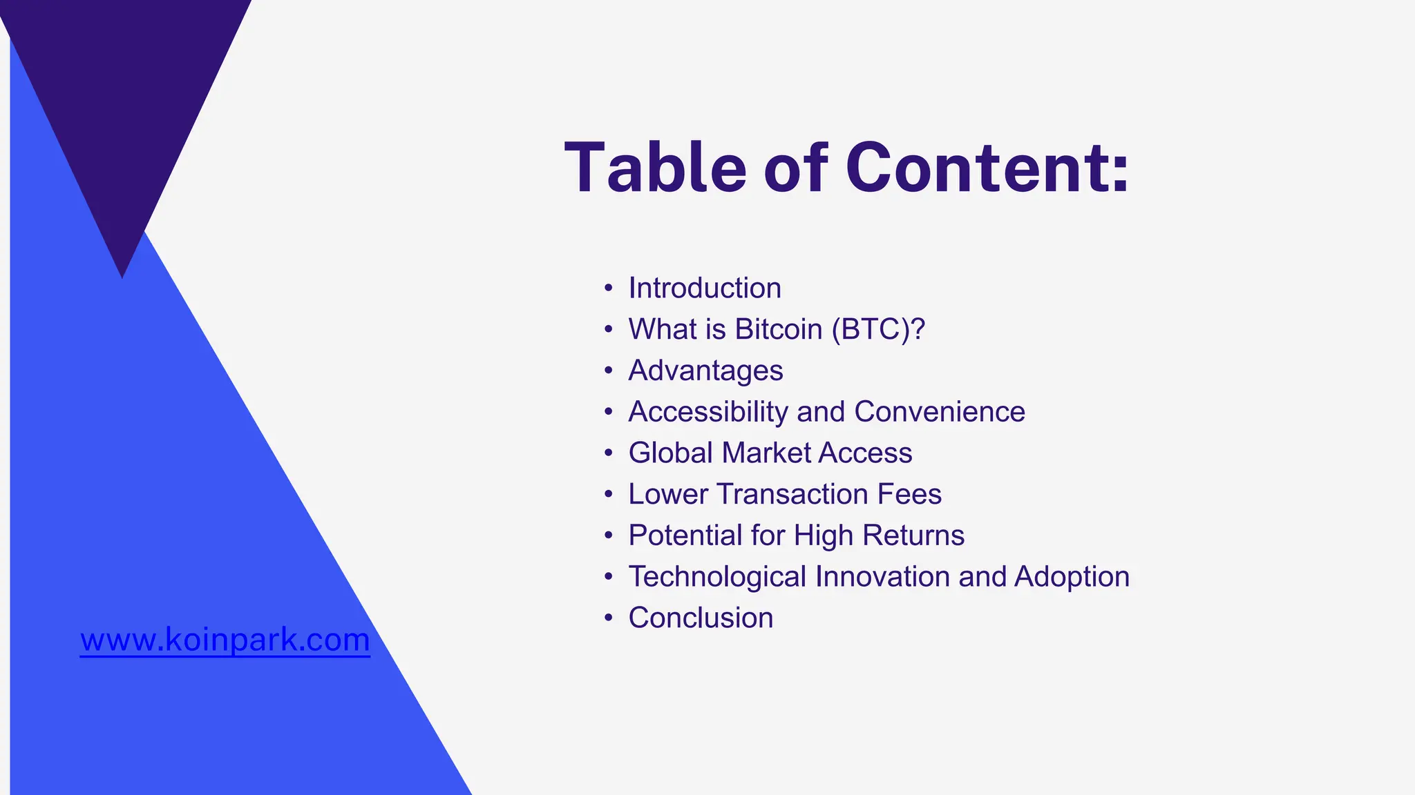 Top 5 Advantages of Buying Bitcoin (BTC) to Indian Rupee (INR) in India |  PPTX