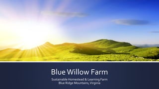 BlueWillow Farm
Sustainable Homestead & Learning Farm
Blue Ridge Mountains,Virginia
 